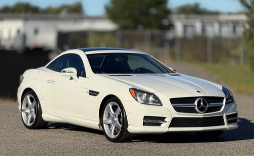 2013 Mercedes-Benz SLK-Class SLK 250 Roadster 2D in Lawrenceville, GA, United States 1