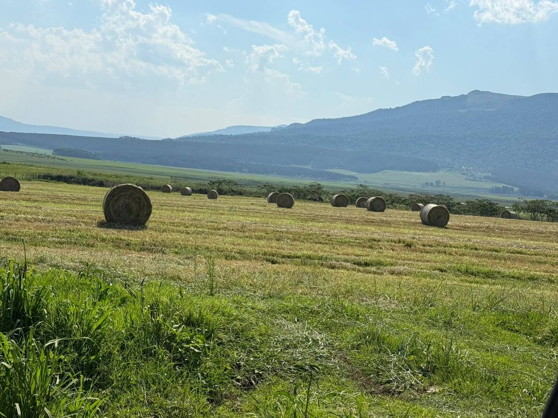 Farm Ranch in Howick, KwaZulu-Natal, Südafrika 4 - 19146017