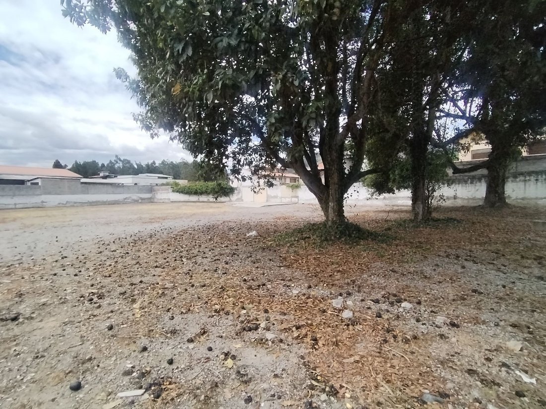 Terreno en Quito, Pichincha, Ecuador 4 - 19145794