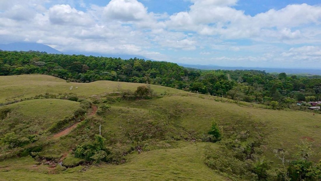 Land in Sarapiquí, Sarapiqui, Costa Rica 3 - 19145693