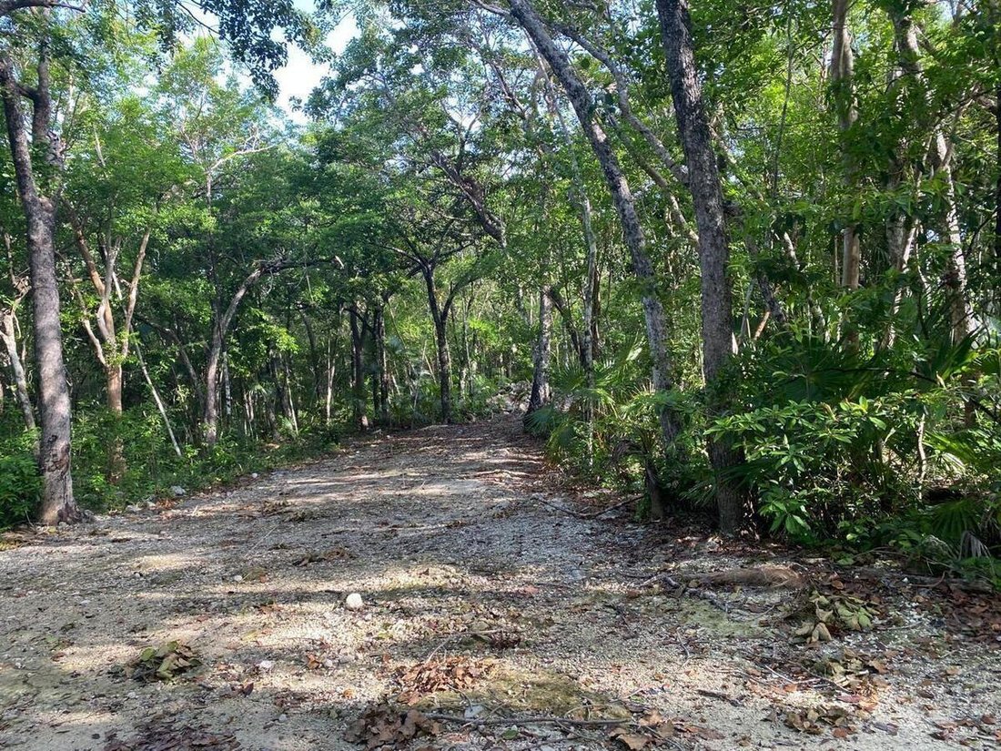 Land in Tulum, Quintana Roo, Mexico 3 - 19146529