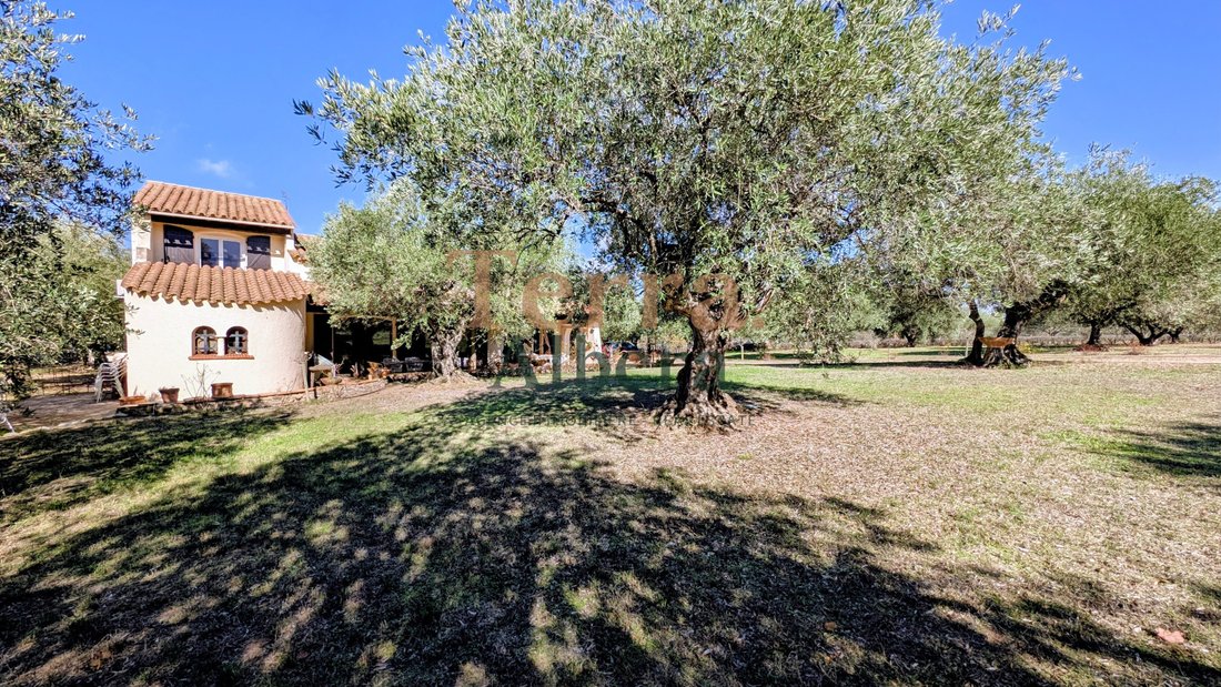 House in Peripherie, Le Boulou, France 1 - 19105266