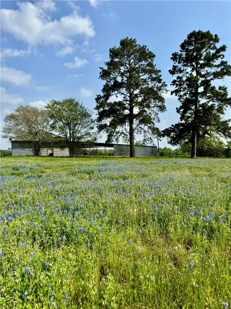 Rancho en College Station, Texas, Estados Unidos 1 - 19148838