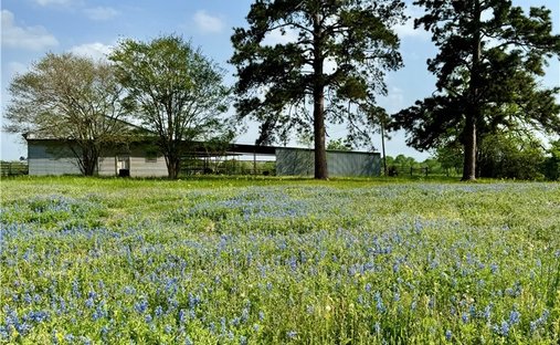 Rancho en College Station, Texas, Estados Unidos 1