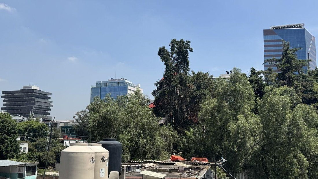 Land in Mexico City, Mexiko-Stadt, Mexiko 3 - 19146520