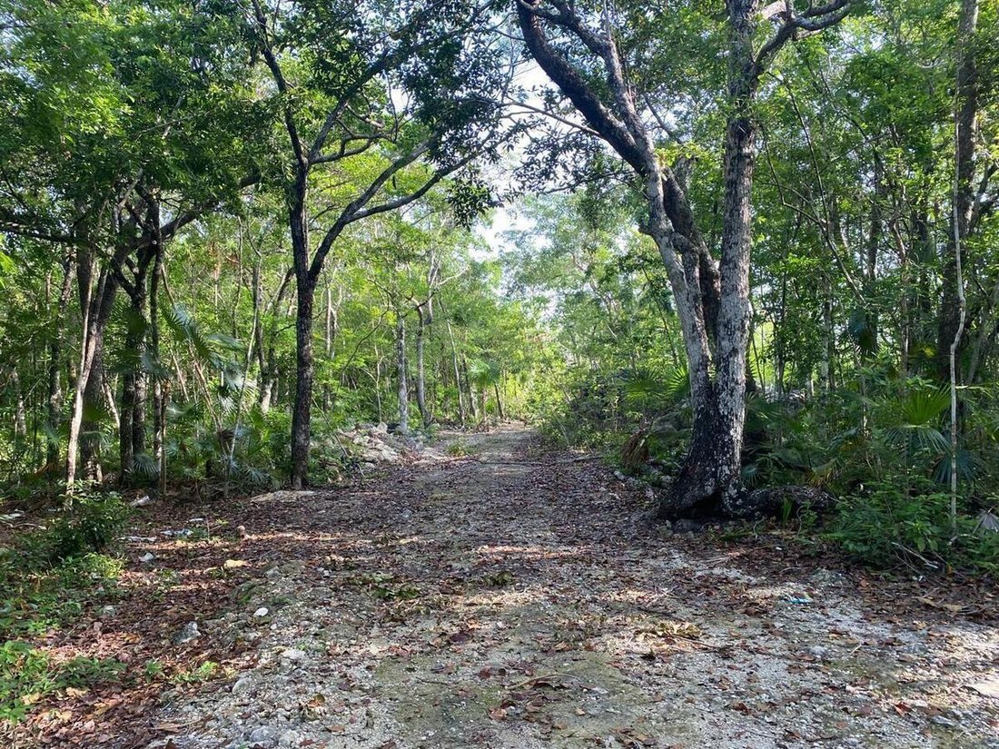 Land in Tulum, Quintana Roo, Mexico 2 - 19146529
