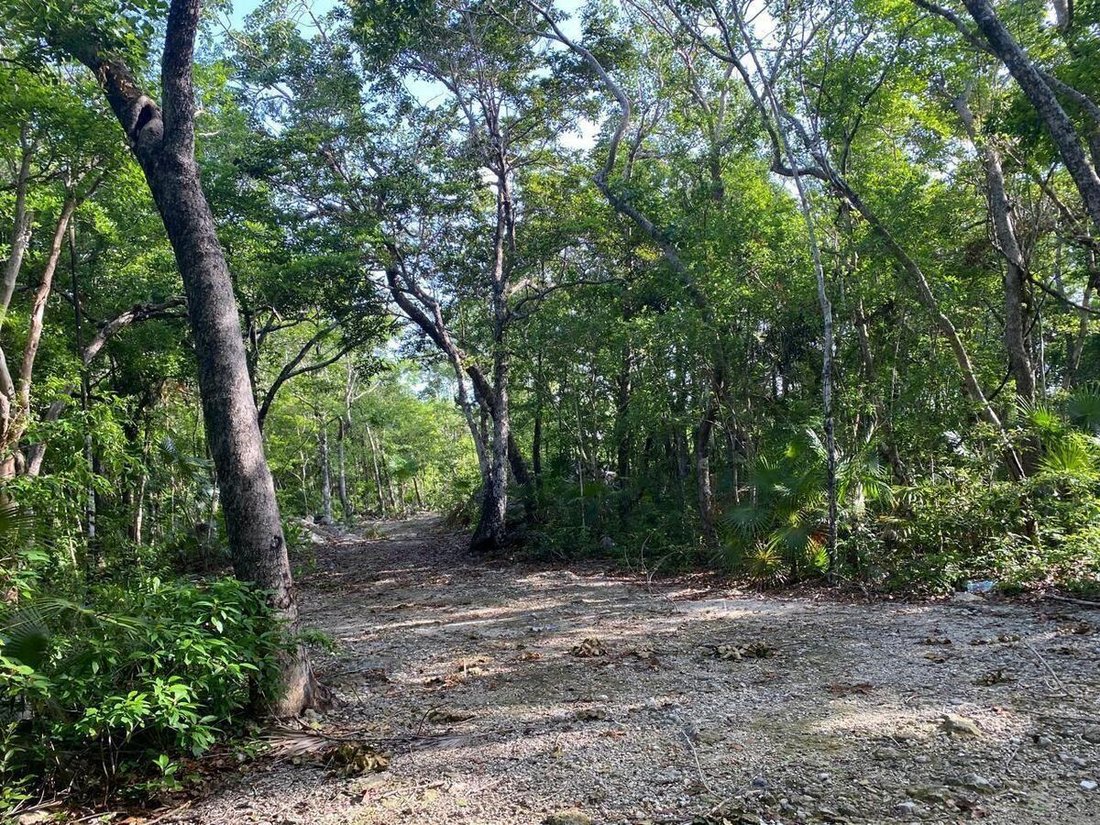 Land in Tulum, Quintana Roo, Mexico 1 - 19146529