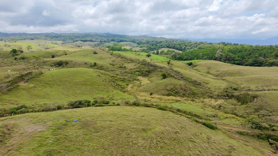 Land in Sarapiquí, Sarapiqui, Costa Rica 2 - 19145693