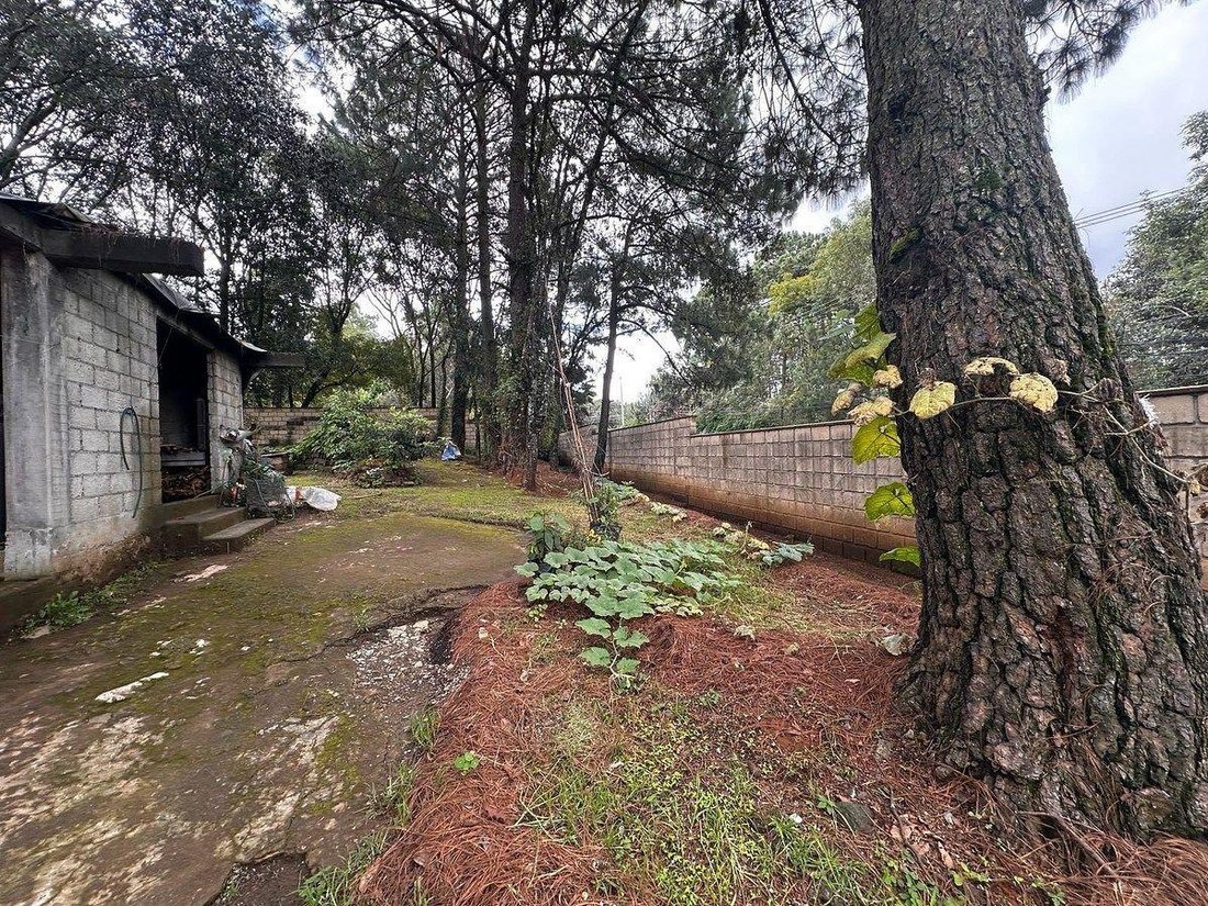 Land in Santa María Pipioltepec, Bundesstaat Mexiko, Mexiko 5 - 19146550