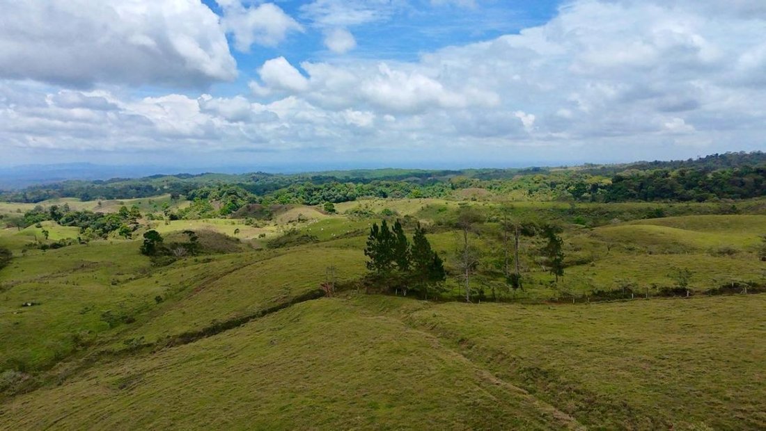Land in Sarapiquí, Sarapiqui, Costa Rica 1 - 19145693