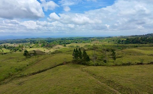 Land in Sarapiquí, Sarapiqui, Costa Rica 1