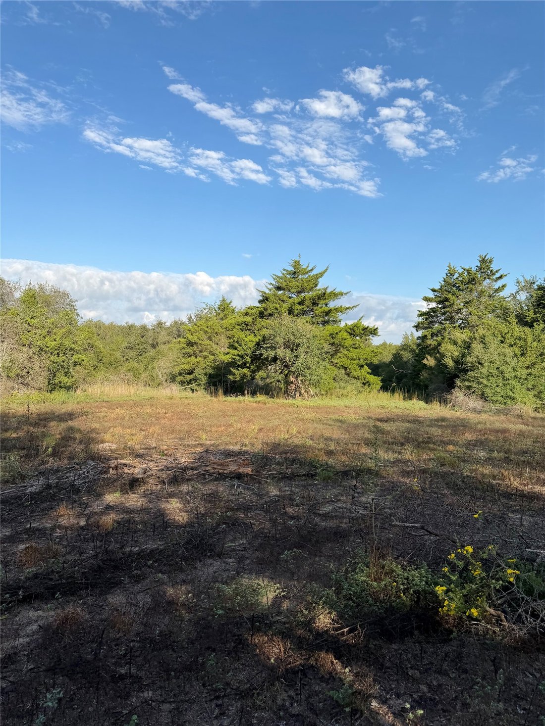 Terrain à Gonzales, Texas, États-Unis 5 - 19145889