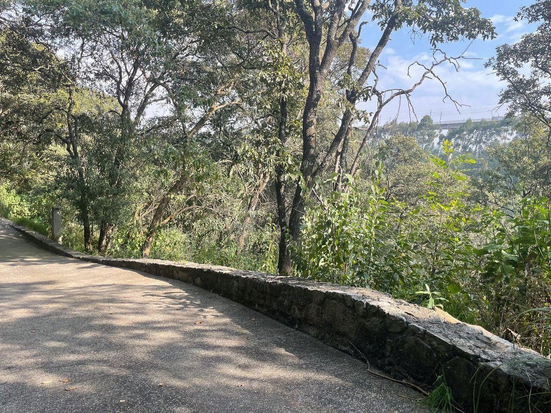 Terrain à Mexico City, Mexique 3 - 19146549