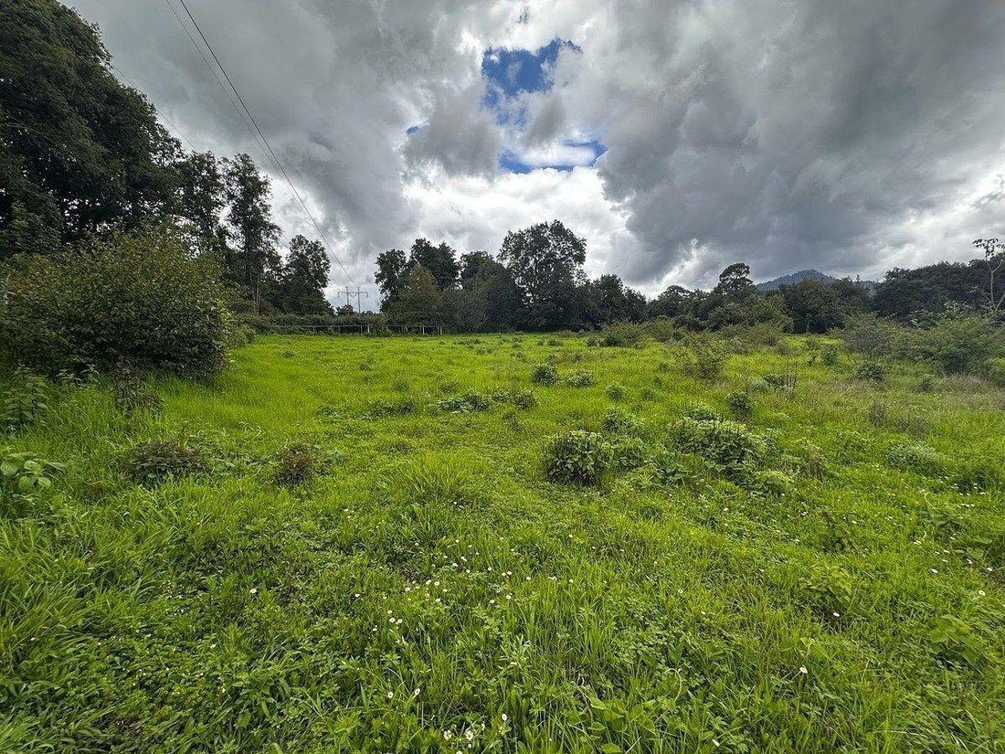 Land in Santa María Pipioltepec, Bundesstaat Mexiko, Mexiko 1 - 19146550