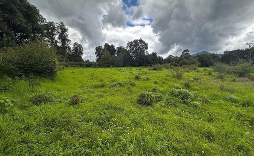 Land in Santa María Pipioltepec, Bundesstaat Mexiko, Mexiko 1