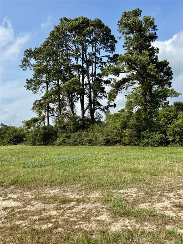 Rancho en College Station, Texas, Estados Unidos 4 - 19148838