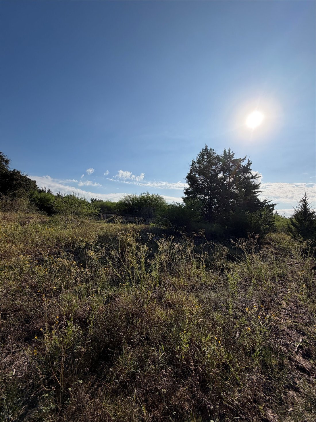 Terrain à Gonzales, Texas, États-Unis 4 - 19145889