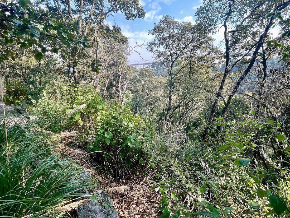 Terrain à Mexico City, Mexique 4 - 19146549