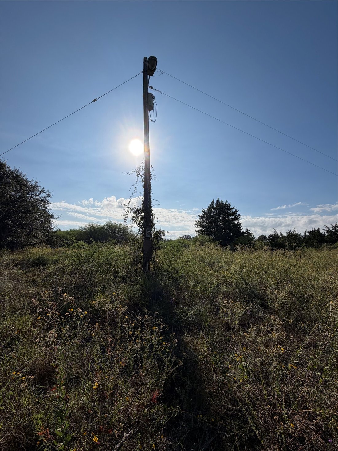 Terrain à Gonzales, Texas, États-Unis 3 - 19145889