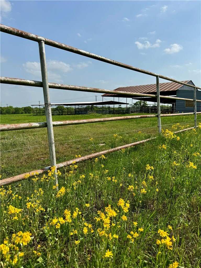 Rancho en College Station, Texas, Estados Unidos 5 - 19148838