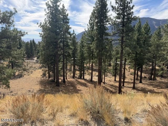 Land in Genoa, Nevada, Vereinigte Staaten 1 - 19149510
