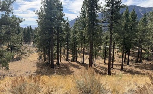 Terreno a Genoa, Nevada, Stati Uniti 1