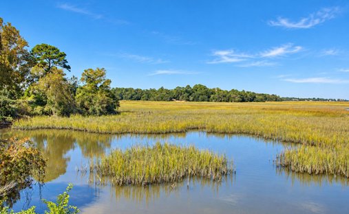 Land in Charleston, South Carolina, United States 1