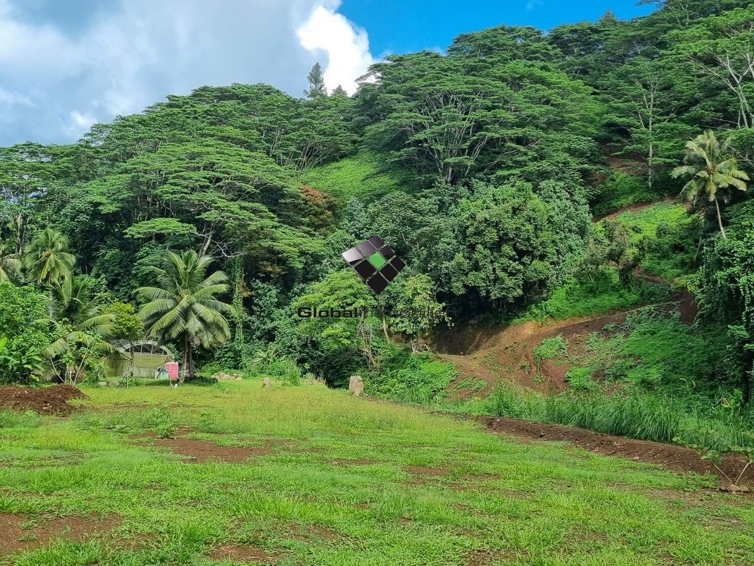 Land in Teva I Uta, Inseln über dem Winde, Französisch-Polynesien 3 - 19149591