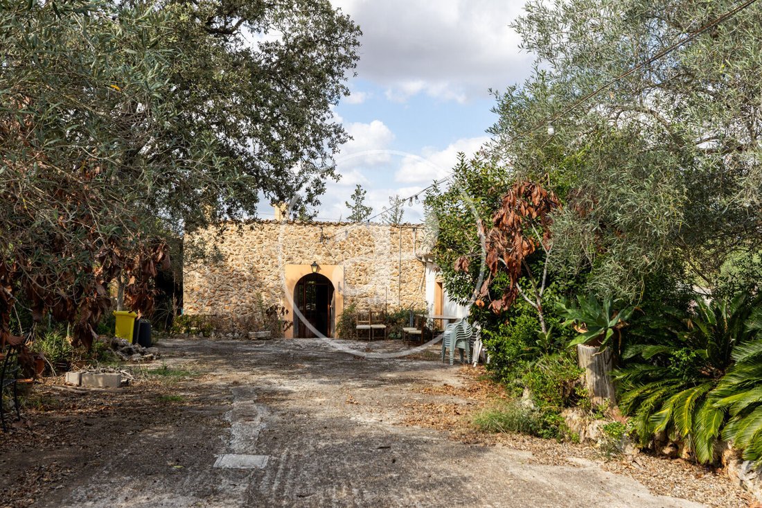 Villa à Sineu, Îles Baléares, Espagne 3 - 19150389
