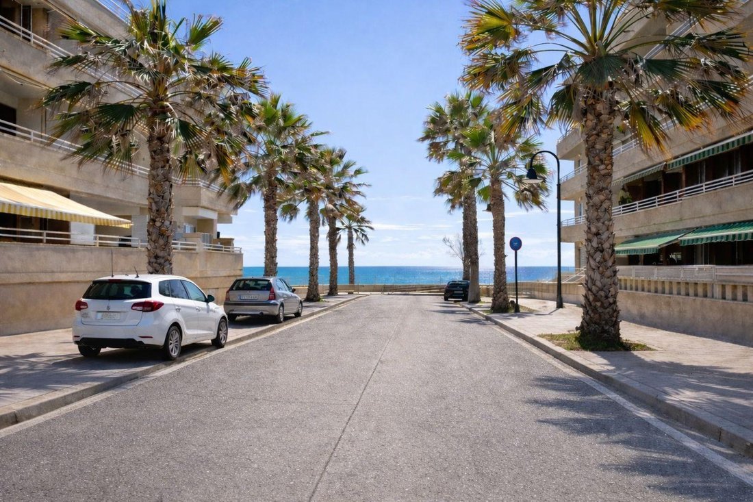 Appartement à Palma, Îles Baléares, Espagne 2 - 19149948