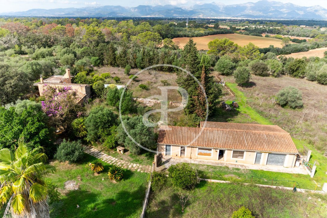 Villa à Sineu, Îles Baléares, Espagne 4 - 19150389