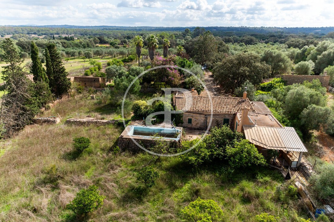 Villa à Sineu, Îles Baléares, Espagne 1 - 19150389