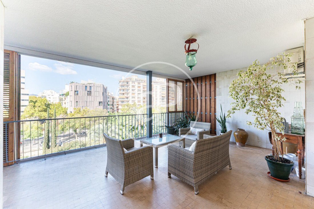 Appartement à Palma, Îles Baléares, Espagne 1 - 19150393