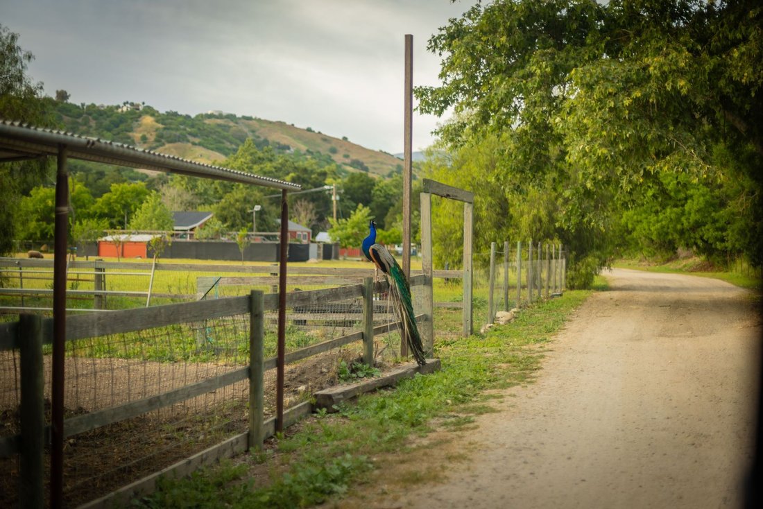 Otros en Ojai, California, Estados Unidos 5 - 19149776