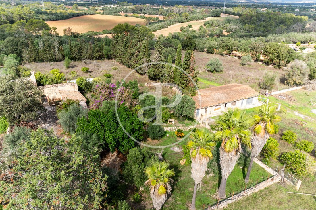 Villa à Sineu, Îles Baléares, Espagne 2 - 19150389