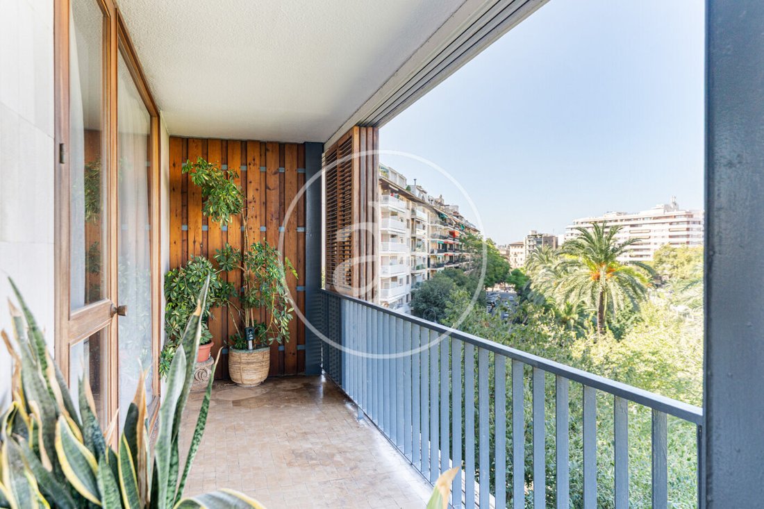 Appartement à Palma, Îles Baléares, Espagne 4 - 19150393