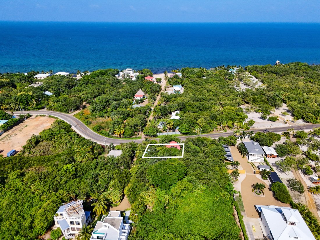 Autres à Placencia, District de Stann Creek, Belize 1 - 19150728