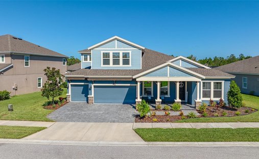 Haus in Trinity, Florida, Vereinigte Staaten 1