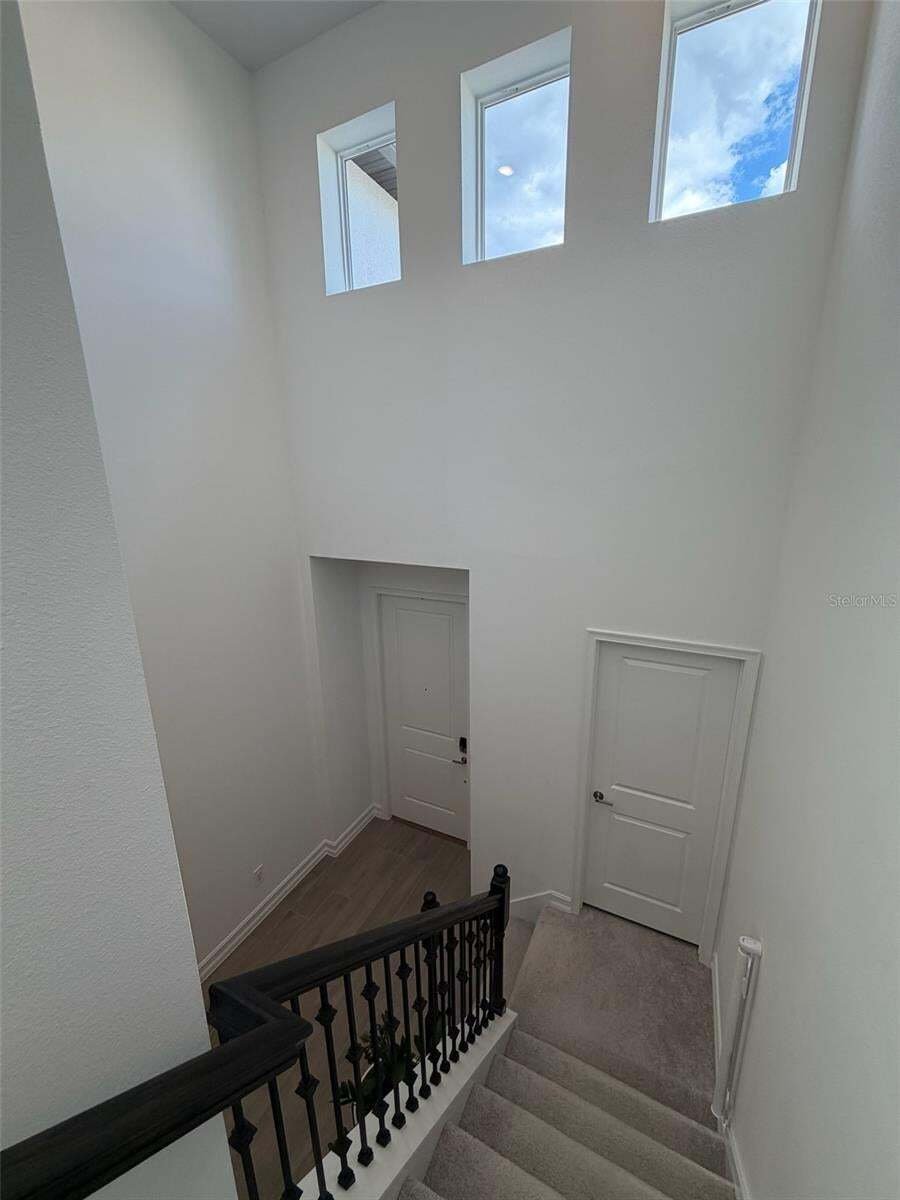 Casa en Lutz, Florida, Estados Unidos 4 - 19150143
