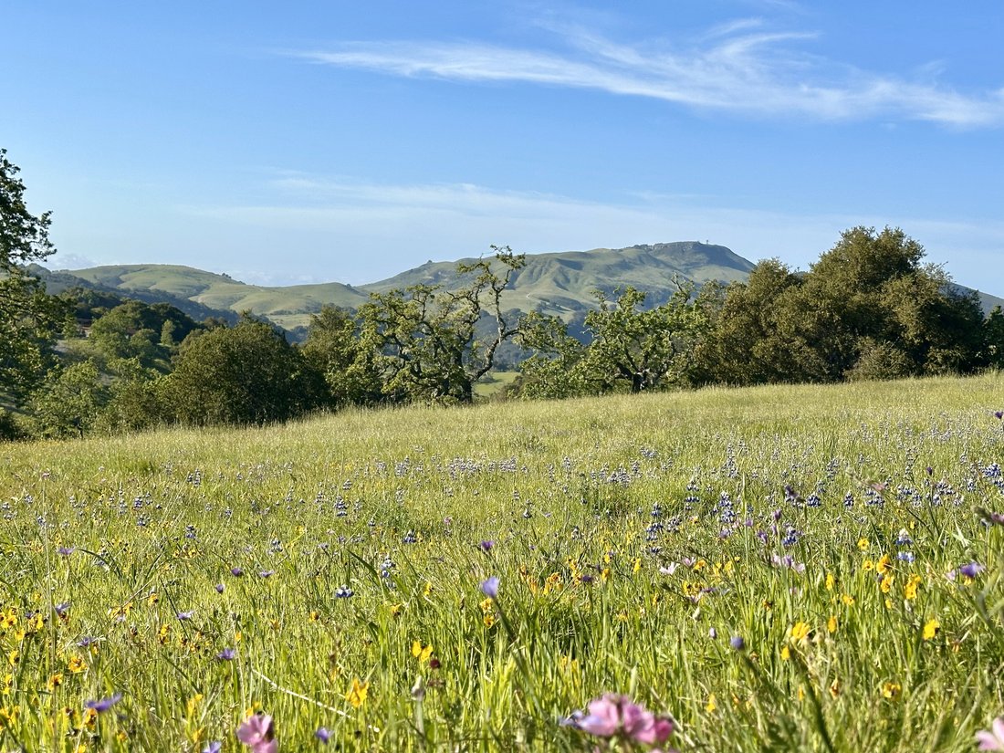 Land in Carmel-by-the-Sea, California, United States 3 - 19149826