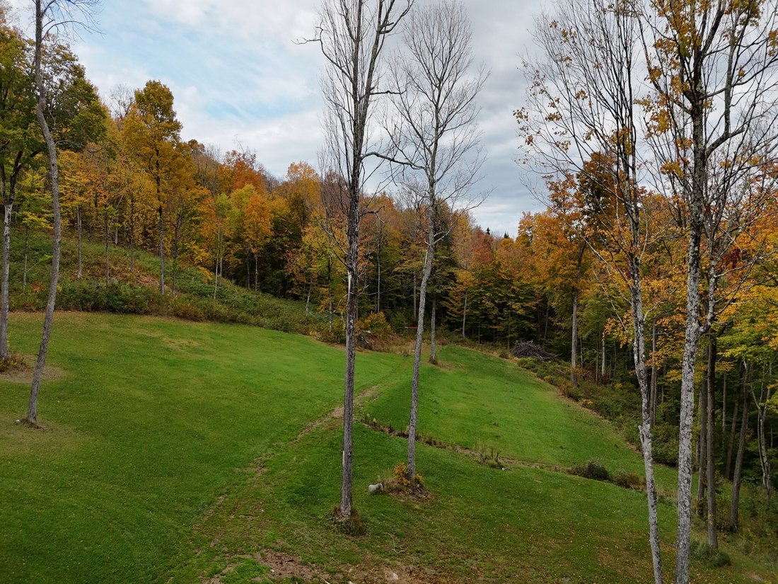 Terreno a Duxbury, Vermont, Stati Uniti 1 - 19150787