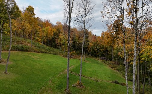 Land in Duxbury, Vermont, Vereinigte Staaten 1