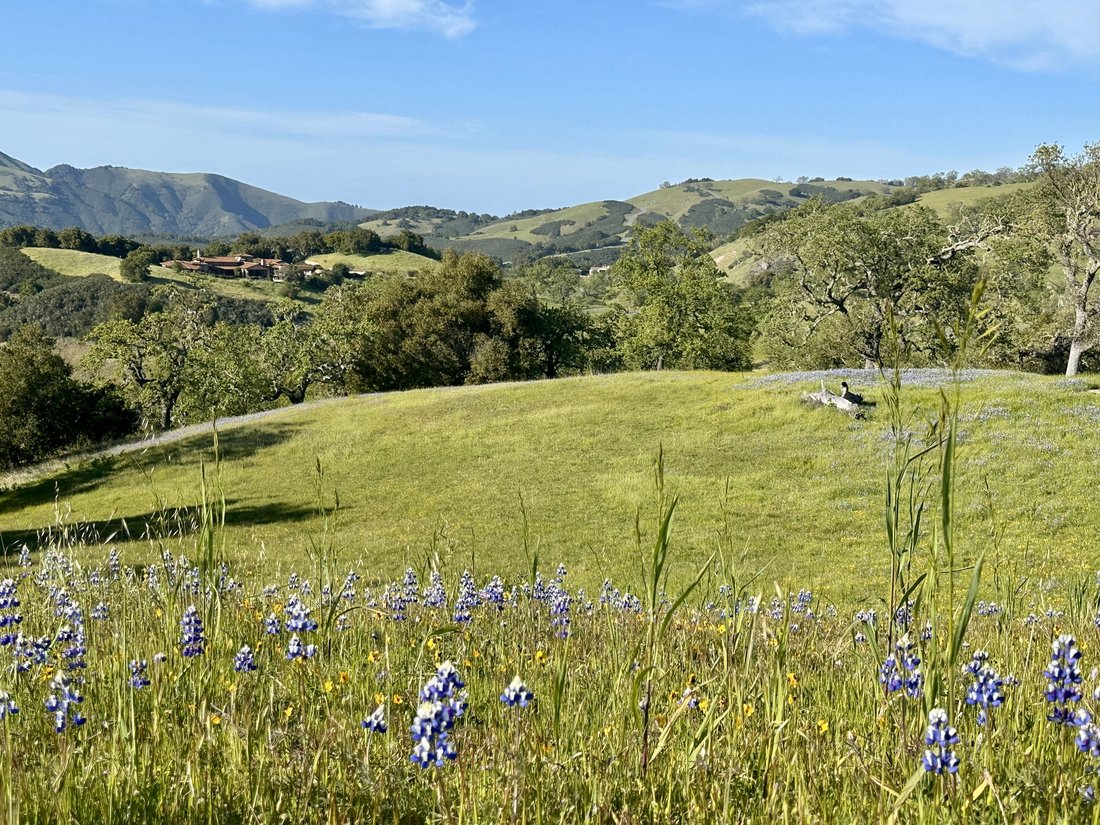 Land in Carmel-by-the-Sea, California, United States 1 - 19149826