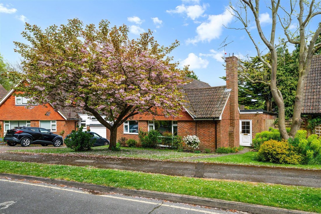 House in Epsom and Ewell, England 1 - 19150374