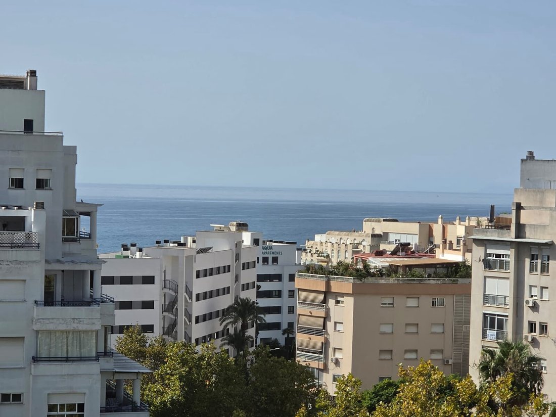 Penthouse à Marbella, Andalousie, Espagne 1 - 19150303