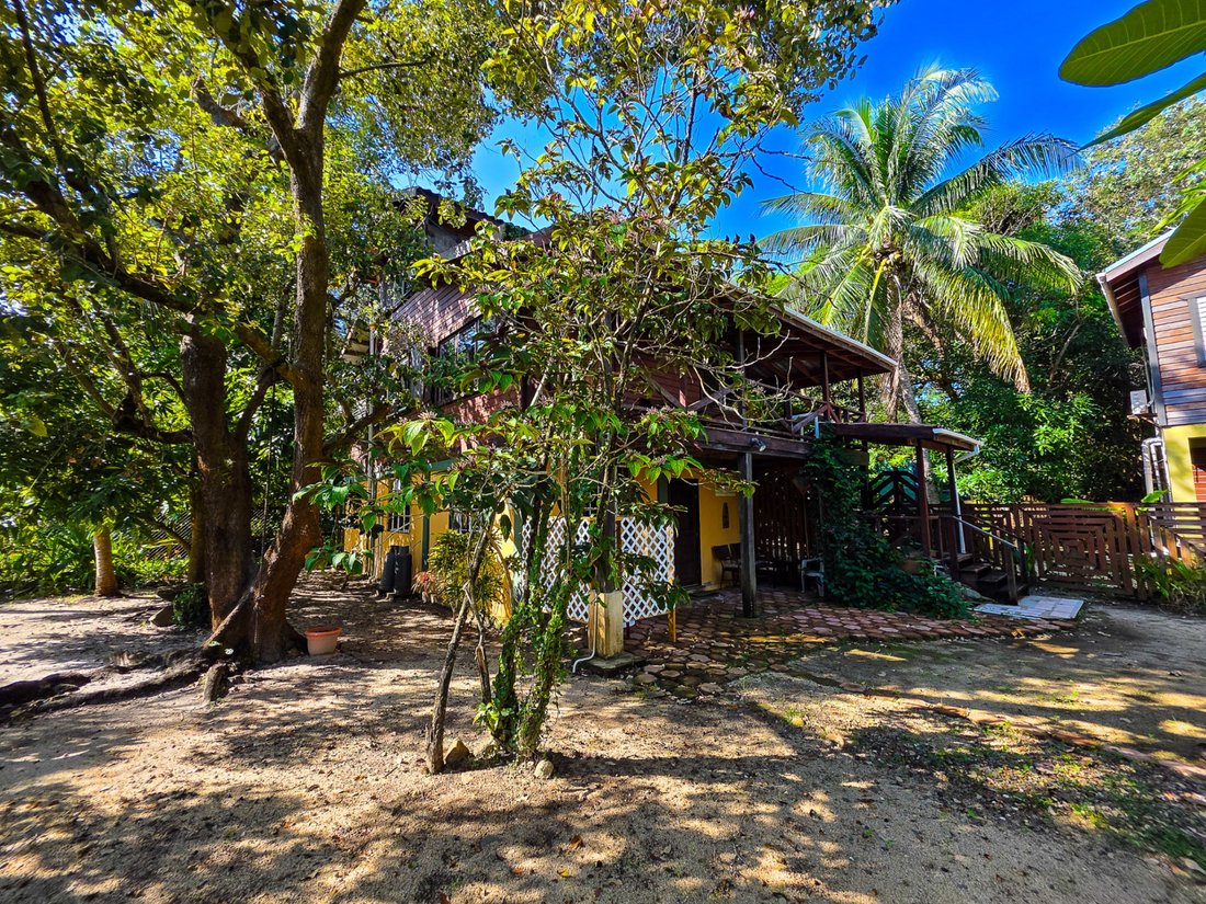 Autres à Placencia, District de Stann Creek, Belize 3 - 19150728