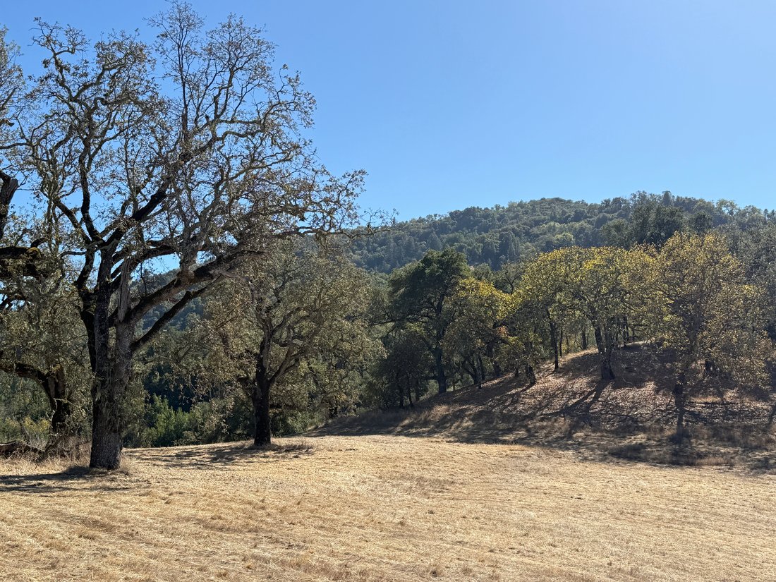 Land in Carmel-by-the-Sea, California, United States 1 - 19150773