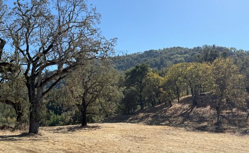 Terrain à Carmel-by-the-Sea, Californie, États-Unis 1