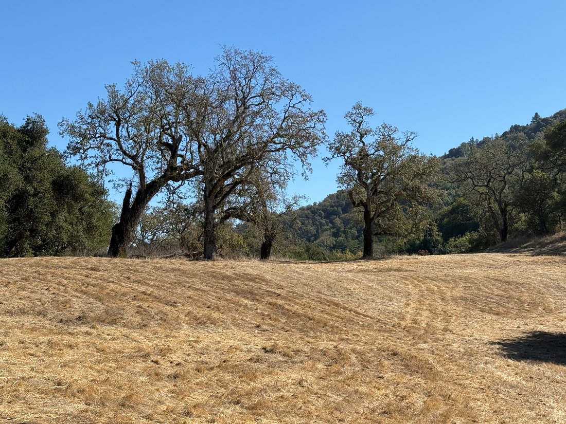 Land in Carmel-by-the-Sea, California, United States 2 - 19150773