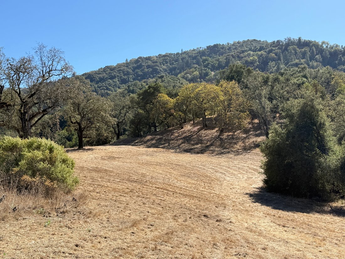 Land in Carmel-by-the-Sea, California, United States 3 - 19150773